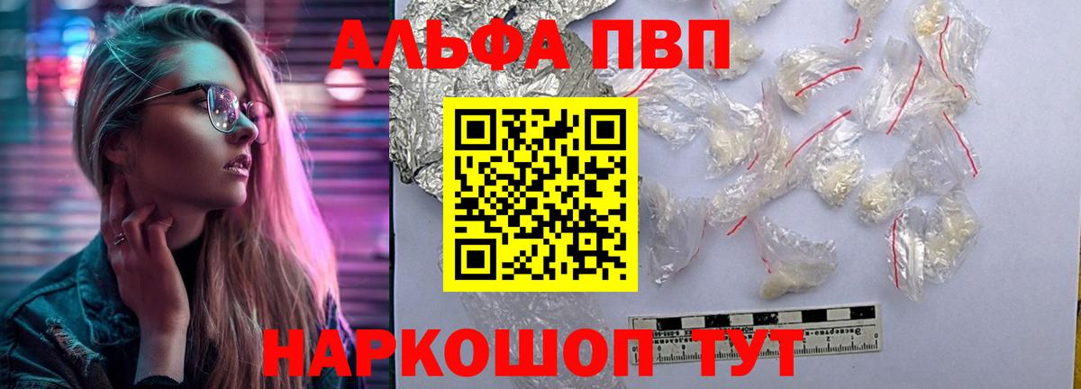 Альфа ПВП СК Анжеро-Судженск