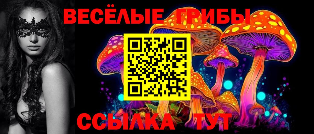Псилоцибиновые грибы GOLDEN TEACHER Анжеро-Судженск