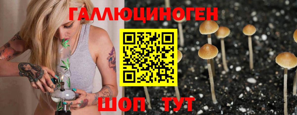 Псилоцибиновые грибы прущие грибы  Вход с VPN  Анжеро-Судженск 